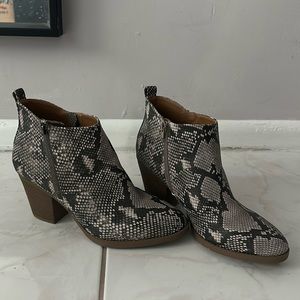 Snake skin booties. Cute for fall!